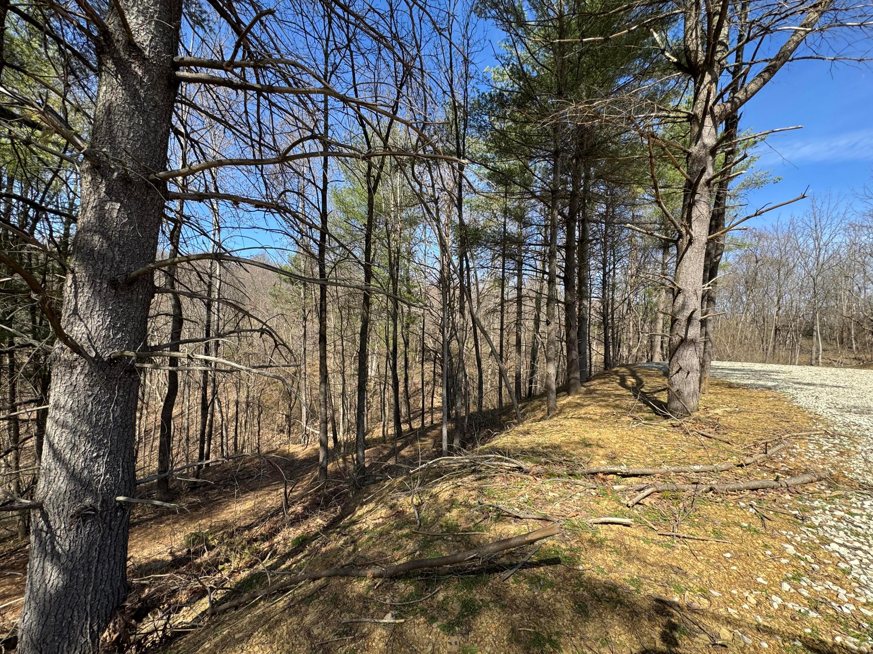 Township Rd 215-a #TRACT 5 AT SHAWNEE WOODS, Corning, Ohio image 45