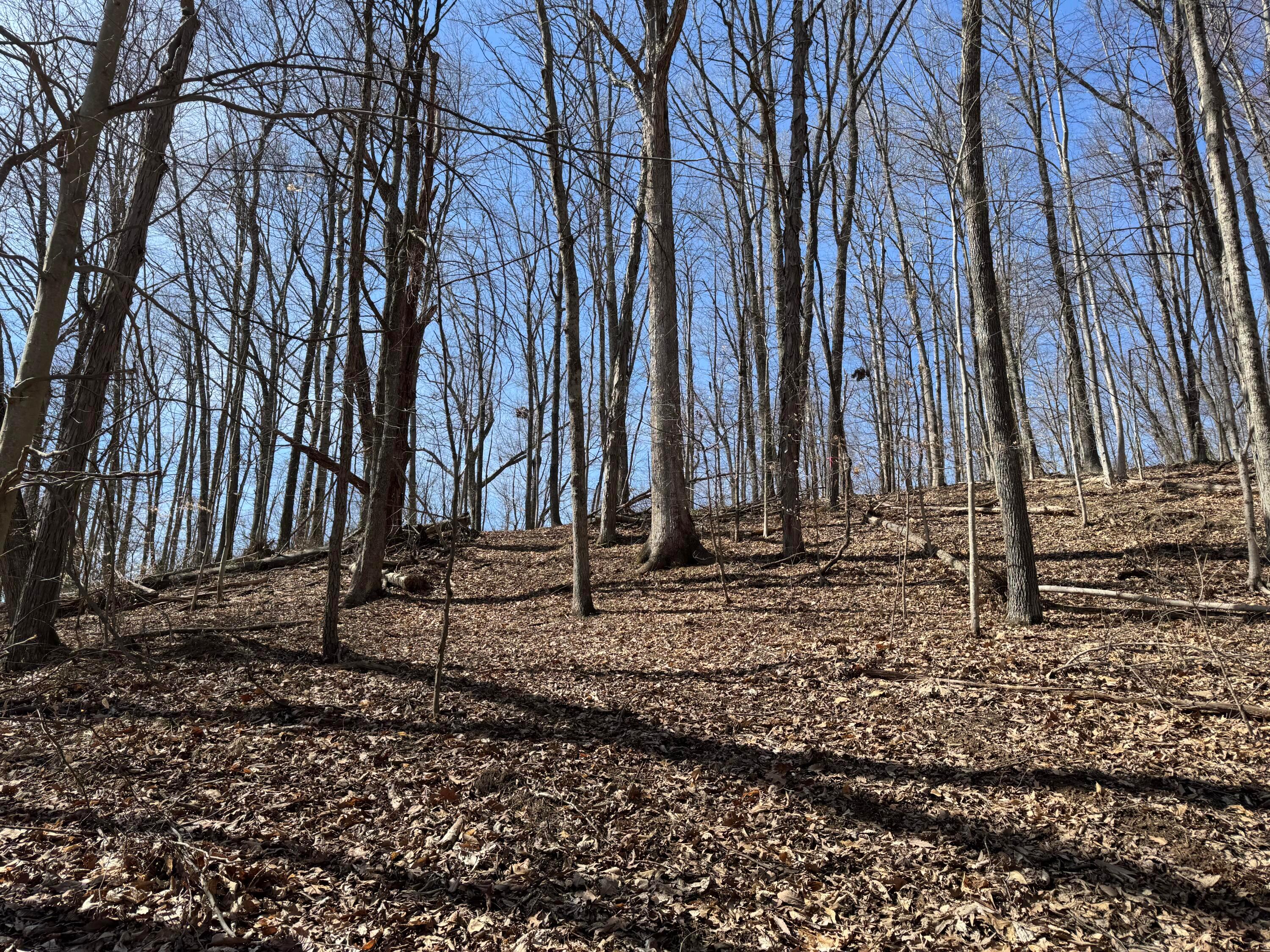 Township Rd 215-a #TRACT 5 AT SHAWNEE WOODS, Corning, Ohio image 26