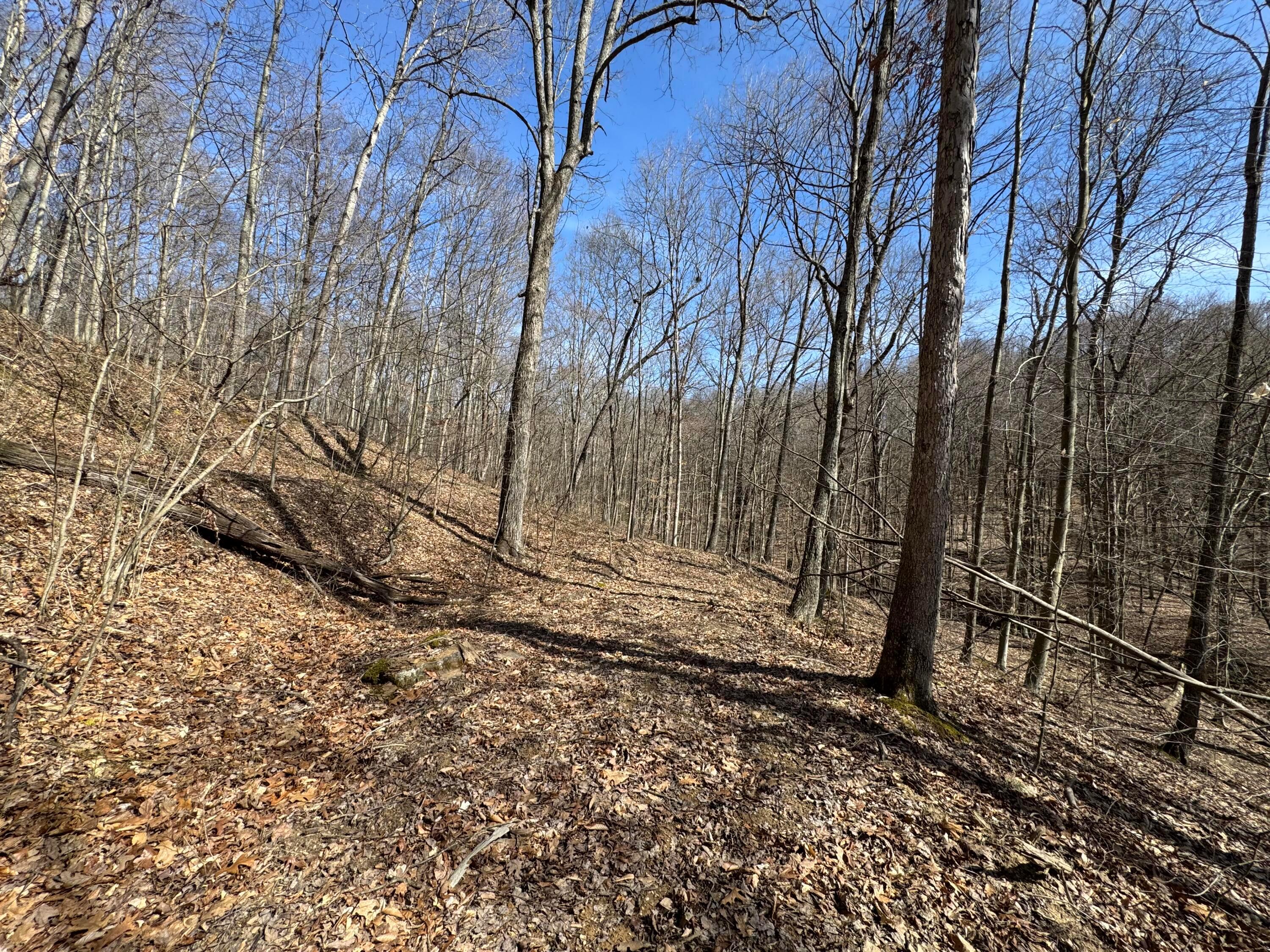 Township Rd 215-a #TRACT 5 AT SHAWNEE WOODS, Corning, Ohio image 34