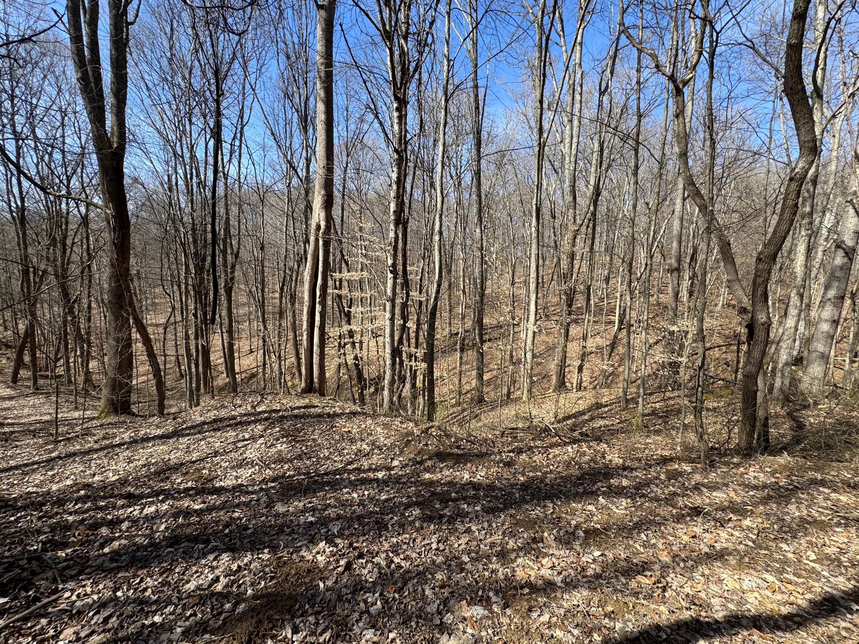Township Rd 215-a #TRACT 5 AT SHAWNEE WOODS, Corning, Ohio image 17