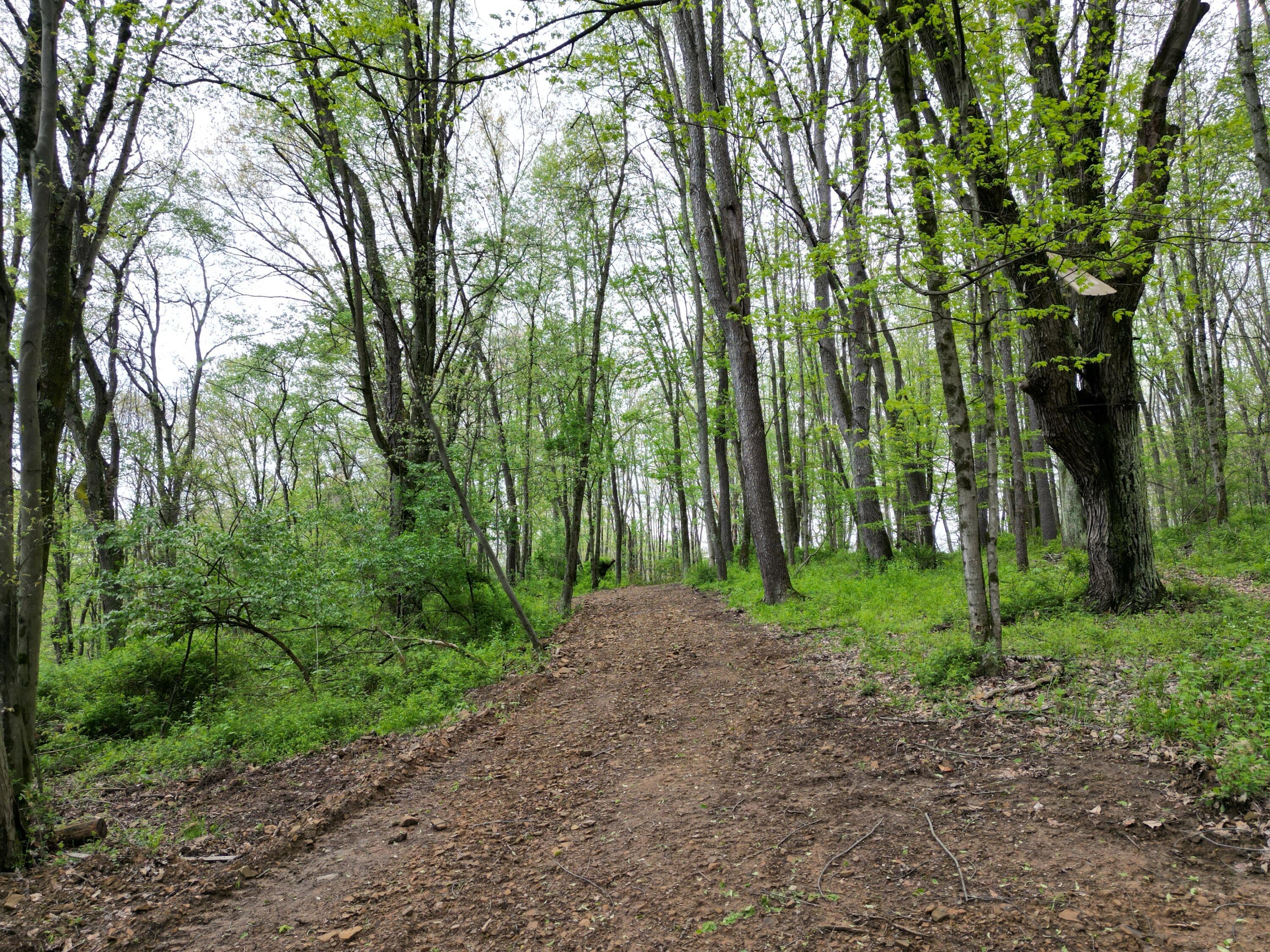 Austin Rd #1, Howard, Ohio image 6
