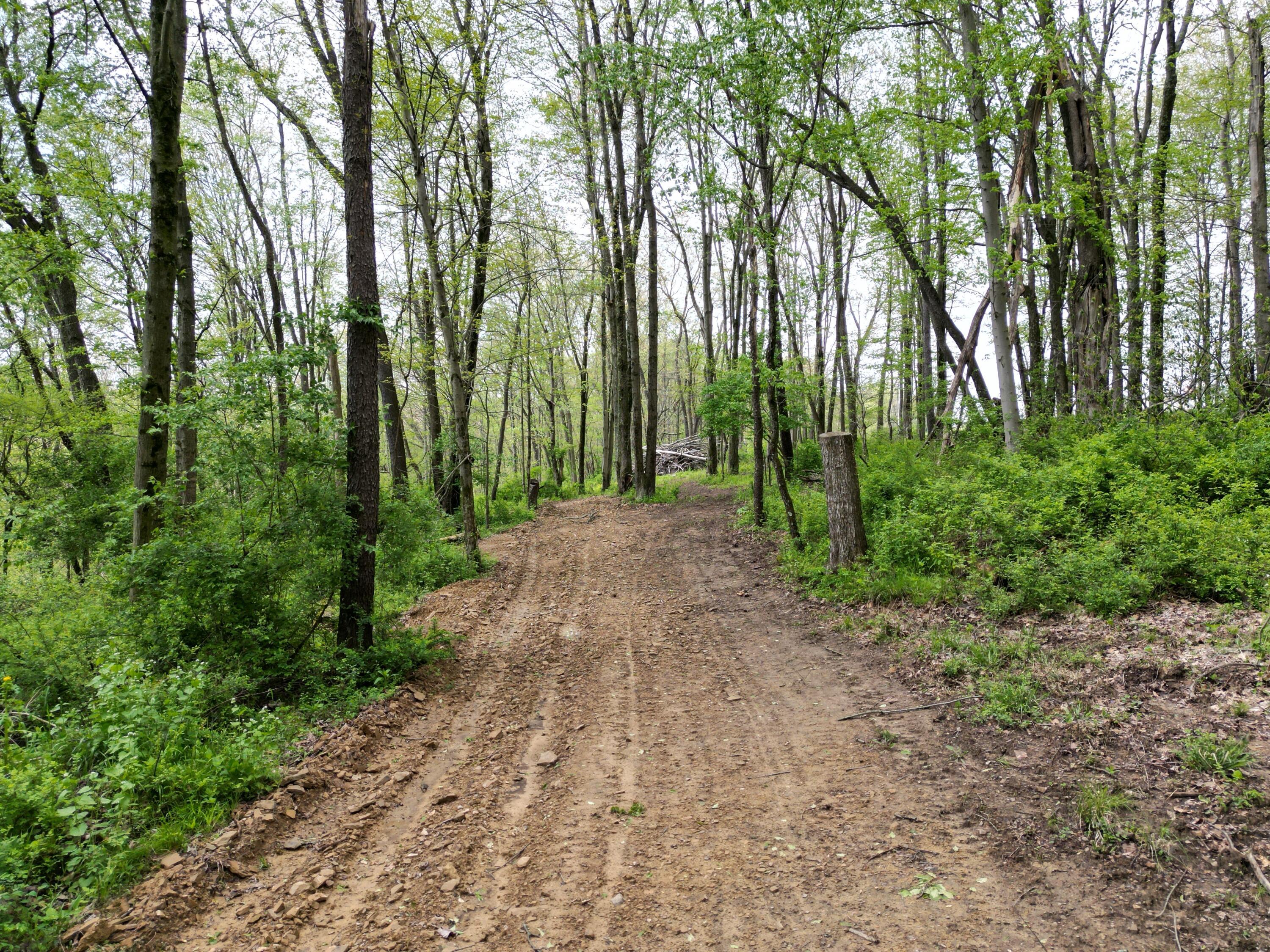 Austin Rd #1, Howard, Ohio image 5
