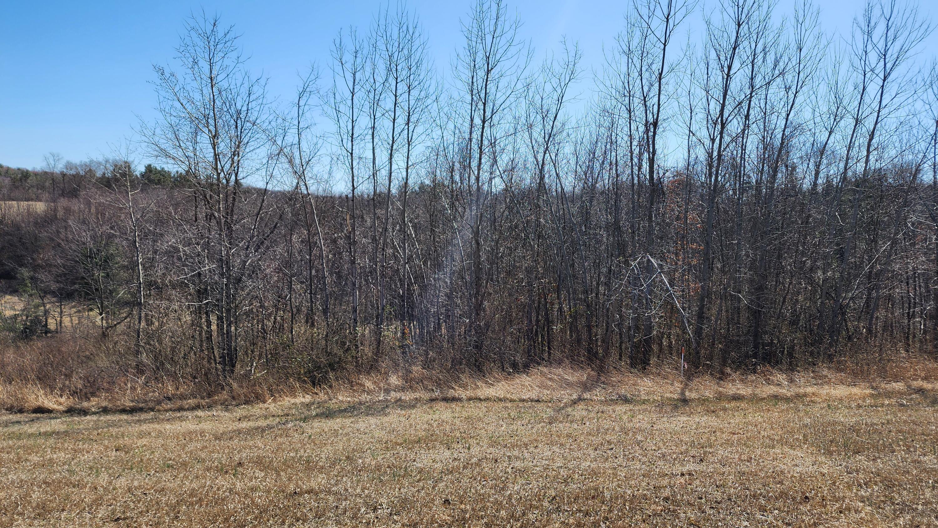 1341 State Route 13 #SERENITY CABIN AT SCENIC, Crooksville, Ohio image 11