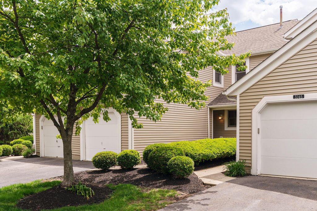 3741 Baybridge Lane