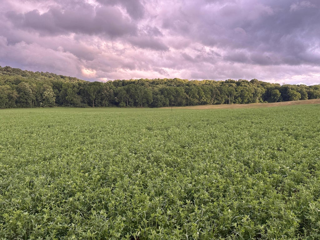 Photo of 0 Township Rd 51, Mount Perry, OH 43760 (MLS # 226022674)