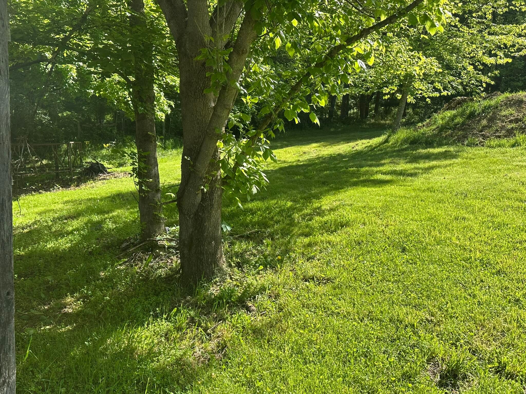 19966 Happy Hollow Road, Laurelville, Ohio image 30