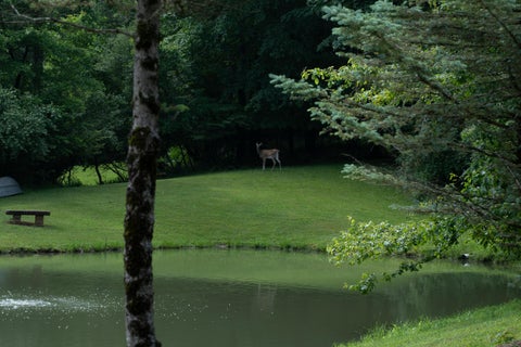 Tiny photo for 4080 Jacksontown Road, Heath, OH 43056 (MLS # 226021316)