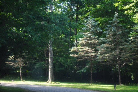 Tiny photo for 4080 Jacksontown Road, Heath, OH 43056 (MLS # 226021316)