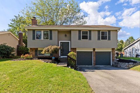 Photo of 4017 Declaration Drive, Columbus, OH 43230 (MLS # 225038334)
