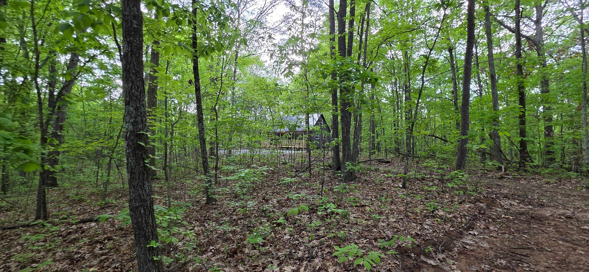 Edmondson Road #RIDGE VIEW CABIN BIG TIM, Vinton, Ohio image 46