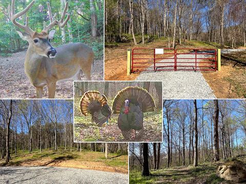 Photo of 0 Little Kyger Road (Little Kyger Tract 9) #(Little Kyger Tract, Cheshire, OH 45620 (MLS # 226011795)