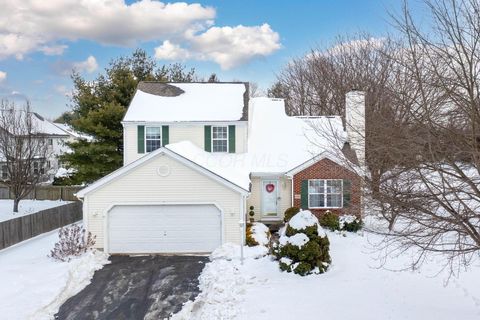 Photo of 6703 Sorensen Place, Westerville, OH 43082 (MLS # 226003322)