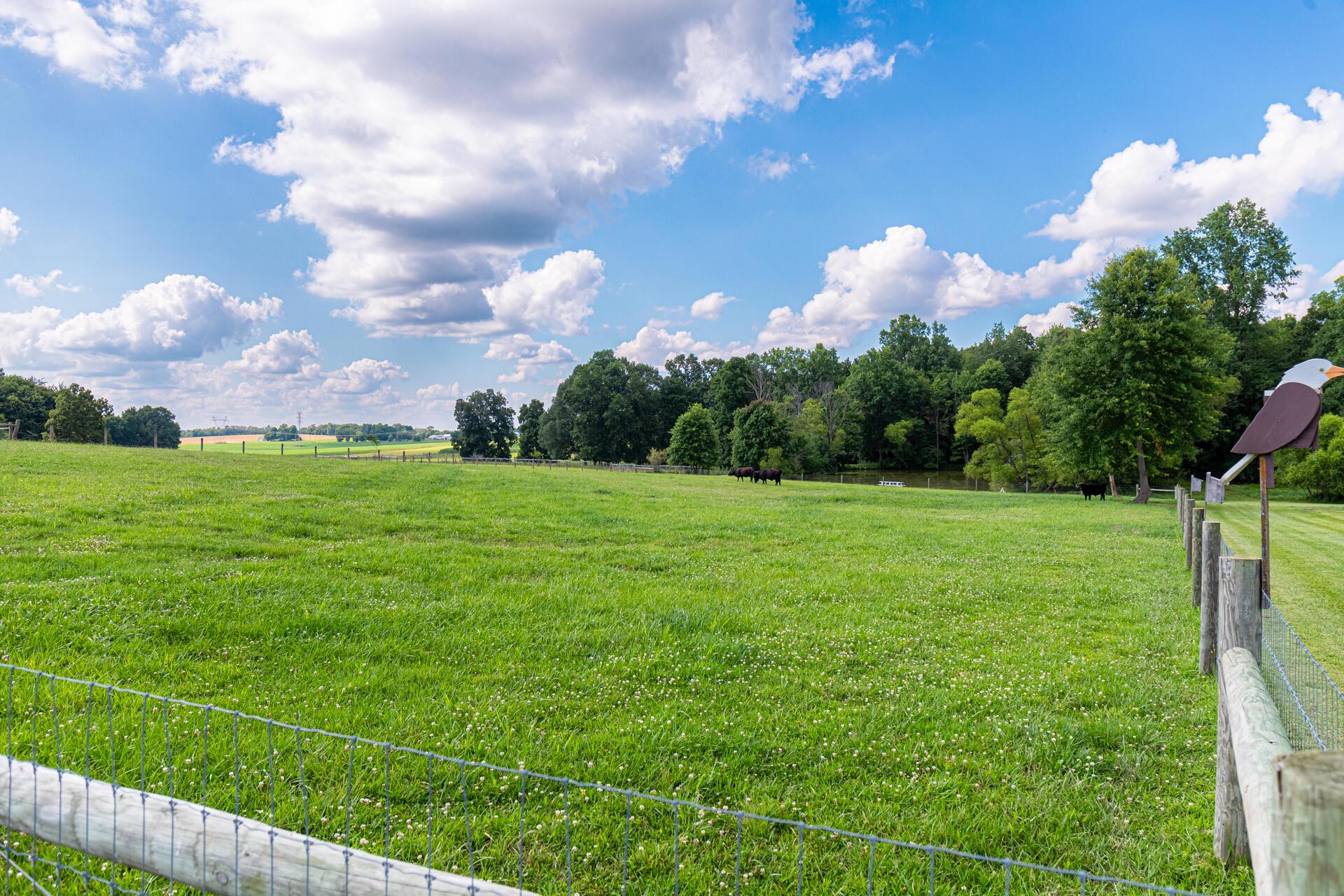 10749 Eden Church Road, Saint Louisville, Ohio image 46