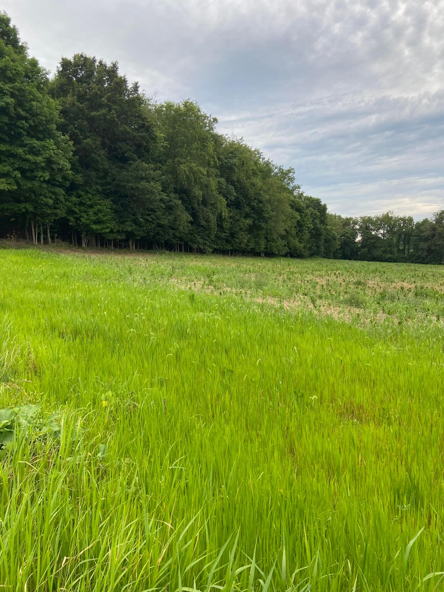 Martinsburg Road #LOT 2, Saint Louisville, Ohio image 10