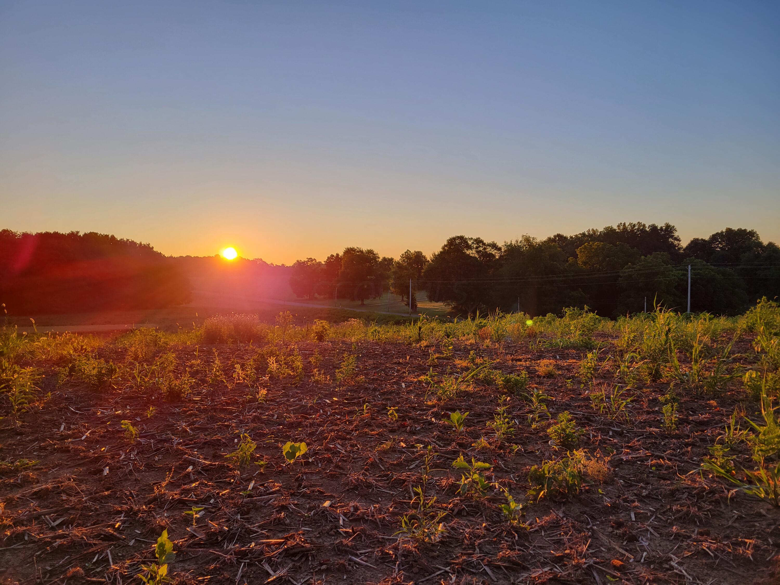 Martinsburg Road #LOT 2, Saint Louisville, Ohio image 16