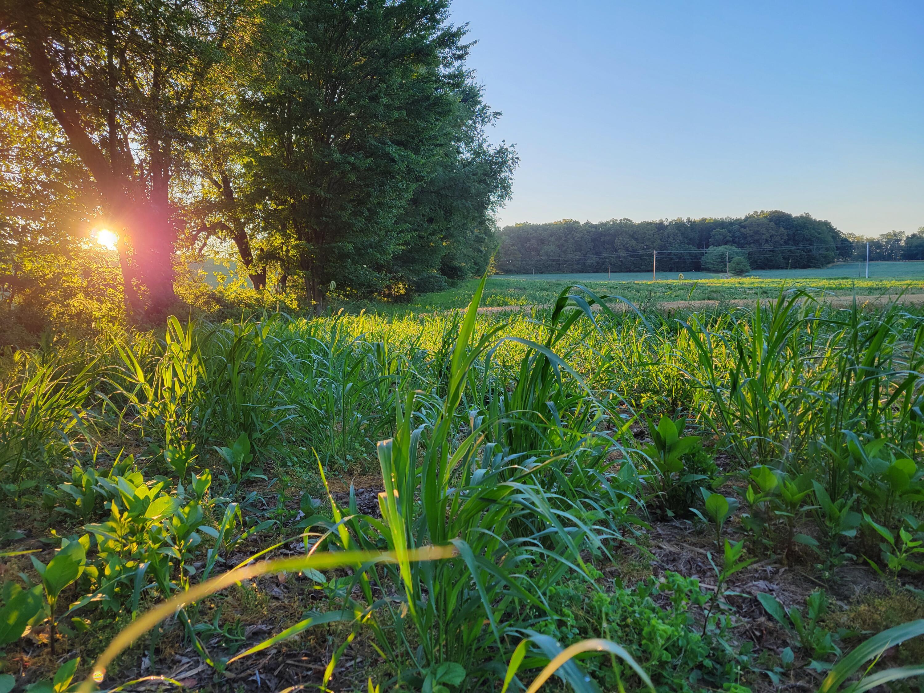 Martinsburg Road #LOT 2, Saint Louisville, Ohio image 15