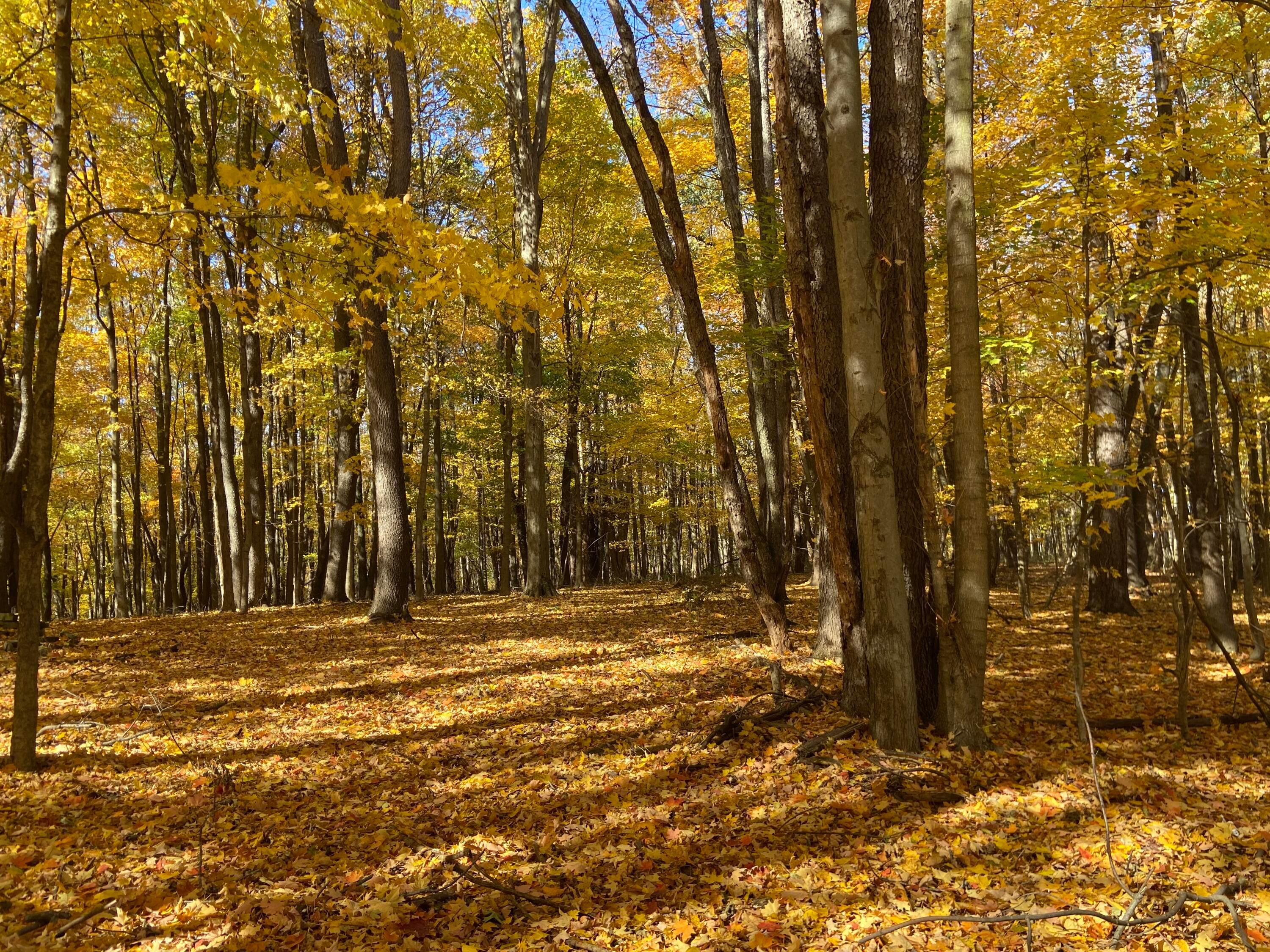 Martinsburg Road #LOT 2, Saint Louisville, Ohio image 19