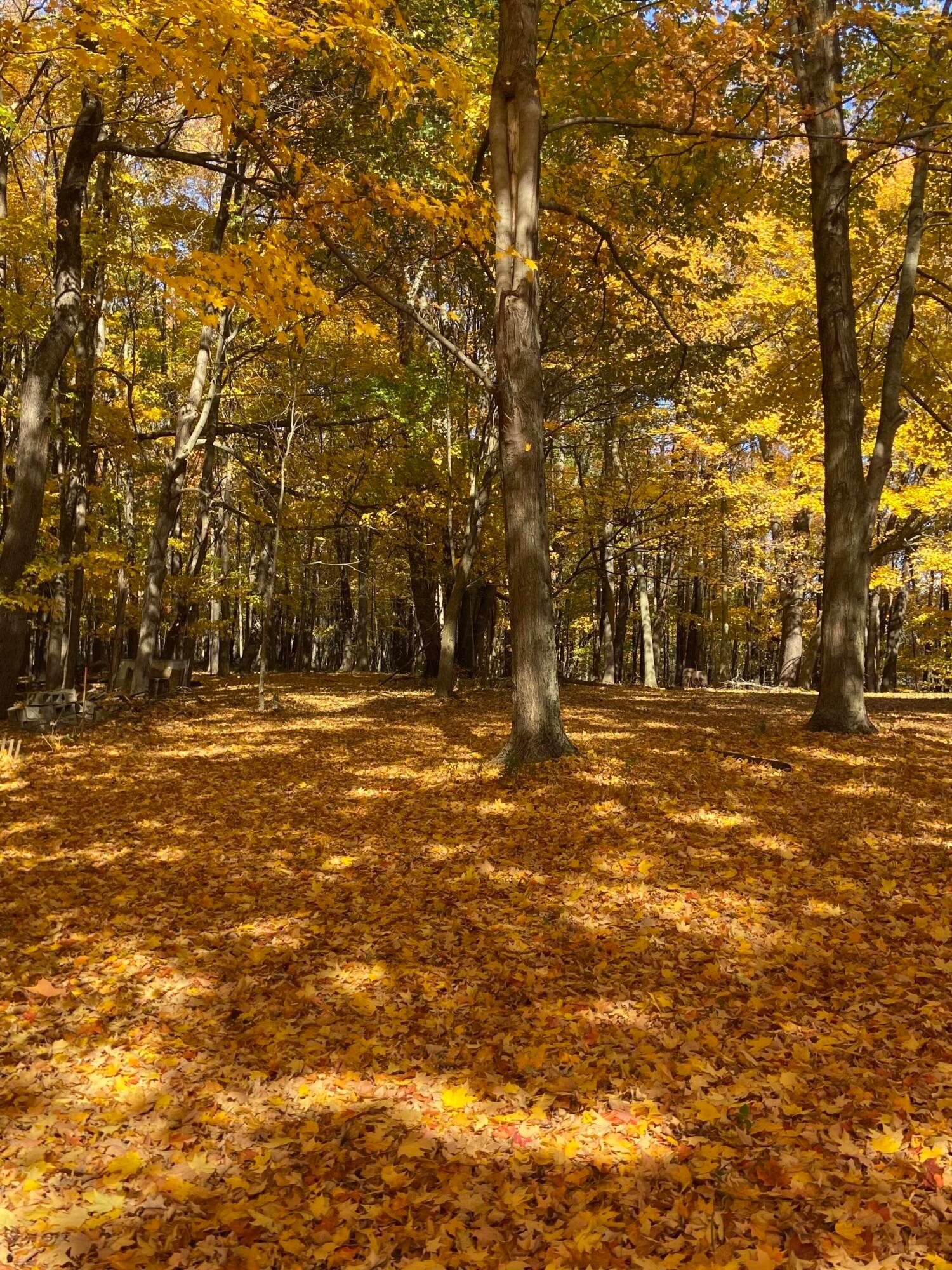 Martinsburg Road #LOT 2, Saint Louisville, Ohio image 22