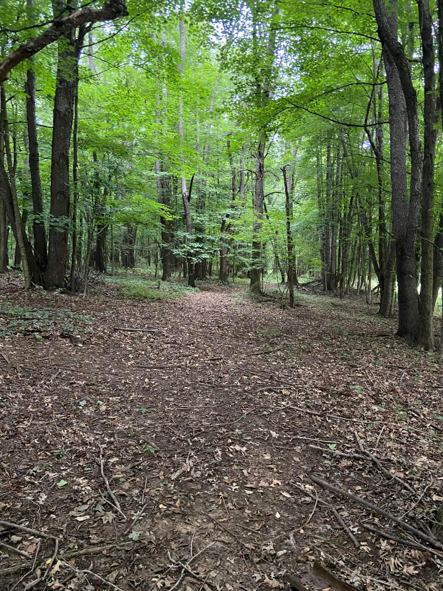Martinsburg Road #LOT 2, Saint Louisville, Ohio image 11