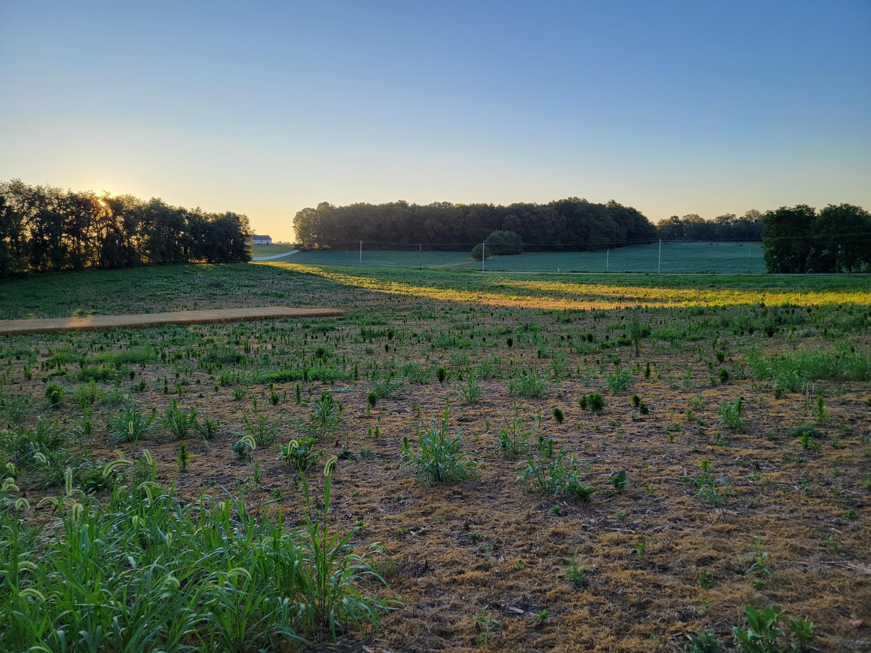 Martinsburg Road #LOT 2, Saint Louisville, Ohio image 8