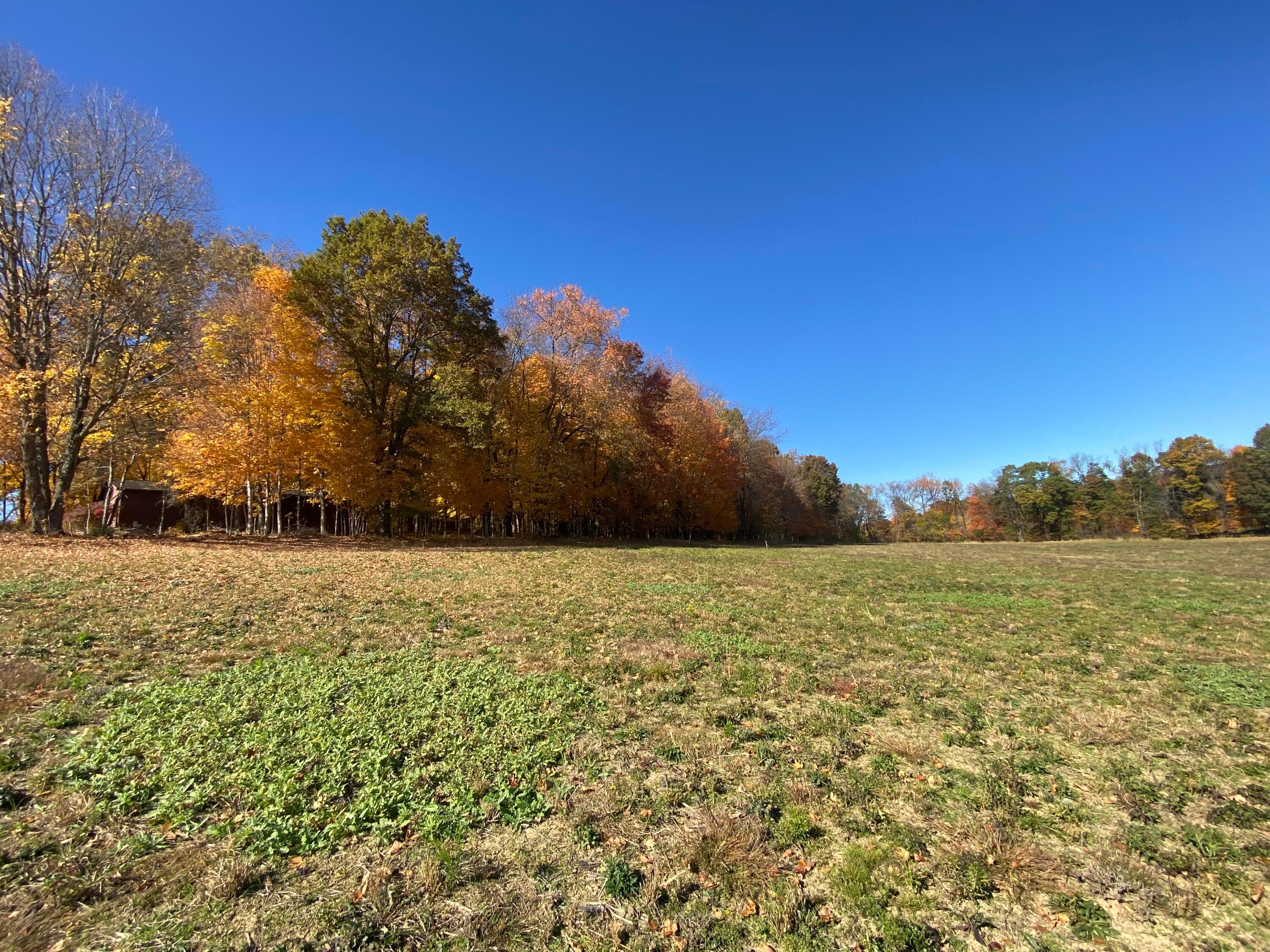 Martinsburg Road #LOT 2, Saint Louisville, Ohio image 24