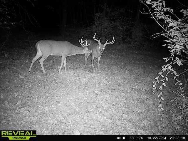 1650 Simmons Road, Frankfort, Ohio image 2