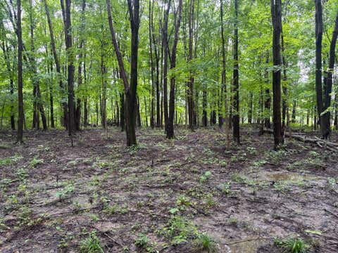 Photo of 0 Orange, Delaware, OH 43015 (MLS # 226031852)