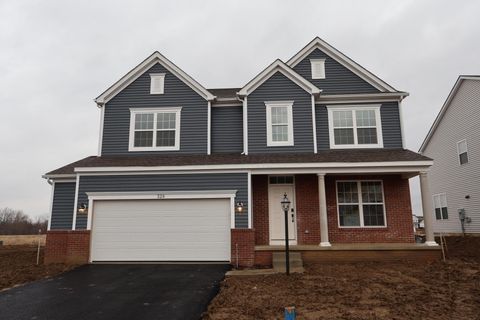 Photo of 329 River Birch Drive, Galena, OH 43021 (MLS # 225036412)