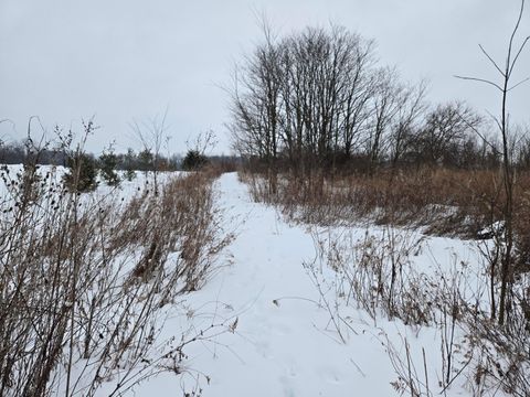 Photo of 0 Sycamore Road, Centerburg, OH 43011 (MLS # 226003765)