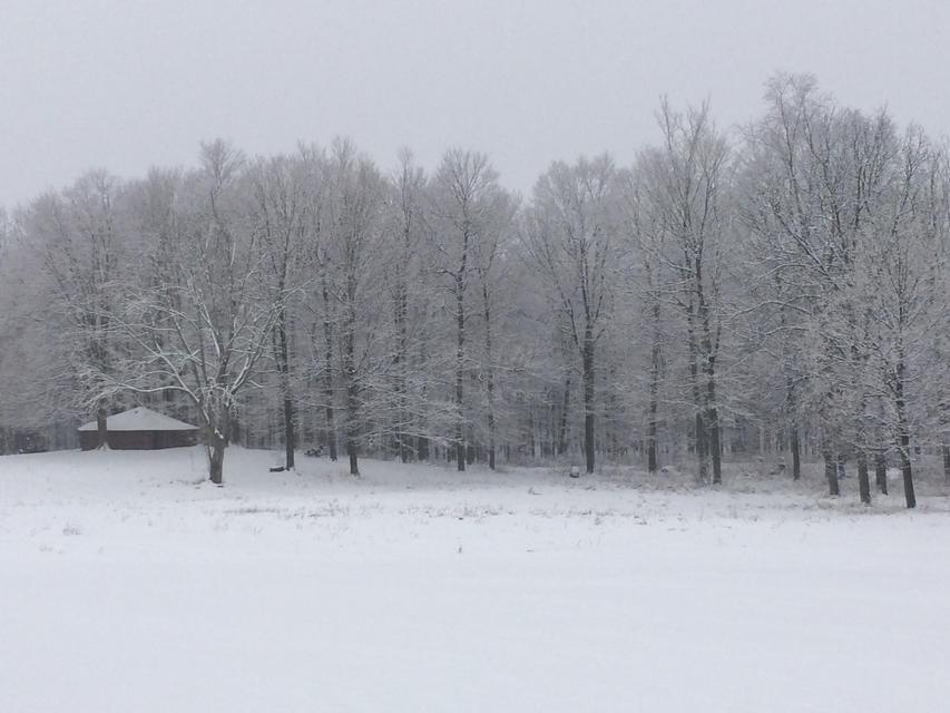 Centerburg, Ohio, 43011, United States, 3 Bedrooms Bedrooms, ,2 BathroomsBathrooms,Residential,Active,2025630