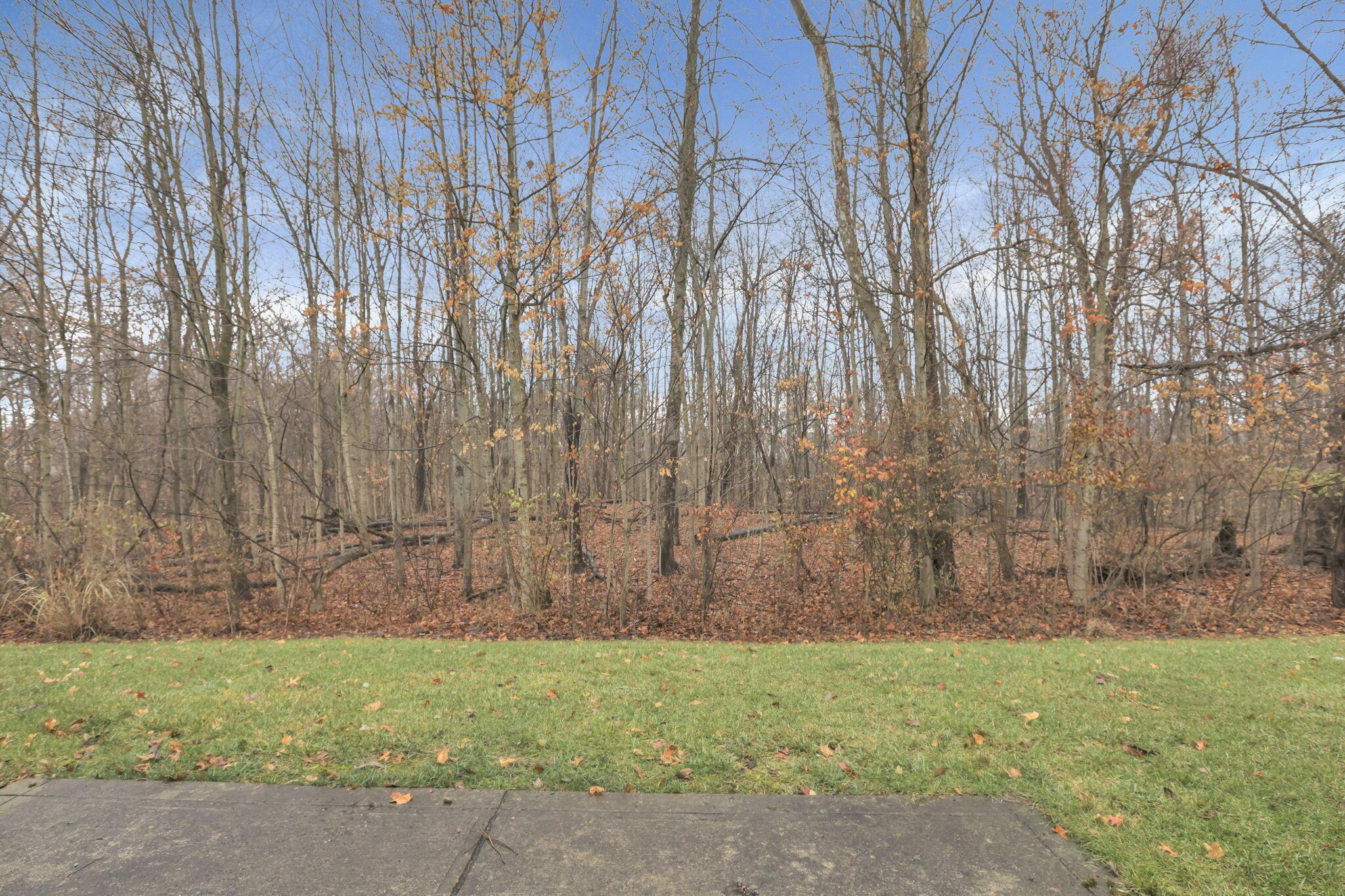 311 Dysar Run Drive #BLDG 24 UNIT 21-311, Blacklick, Ohio image 30