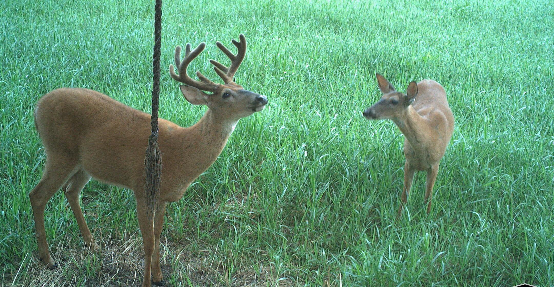 Mink Street Road, Marysville, Ohio image 22