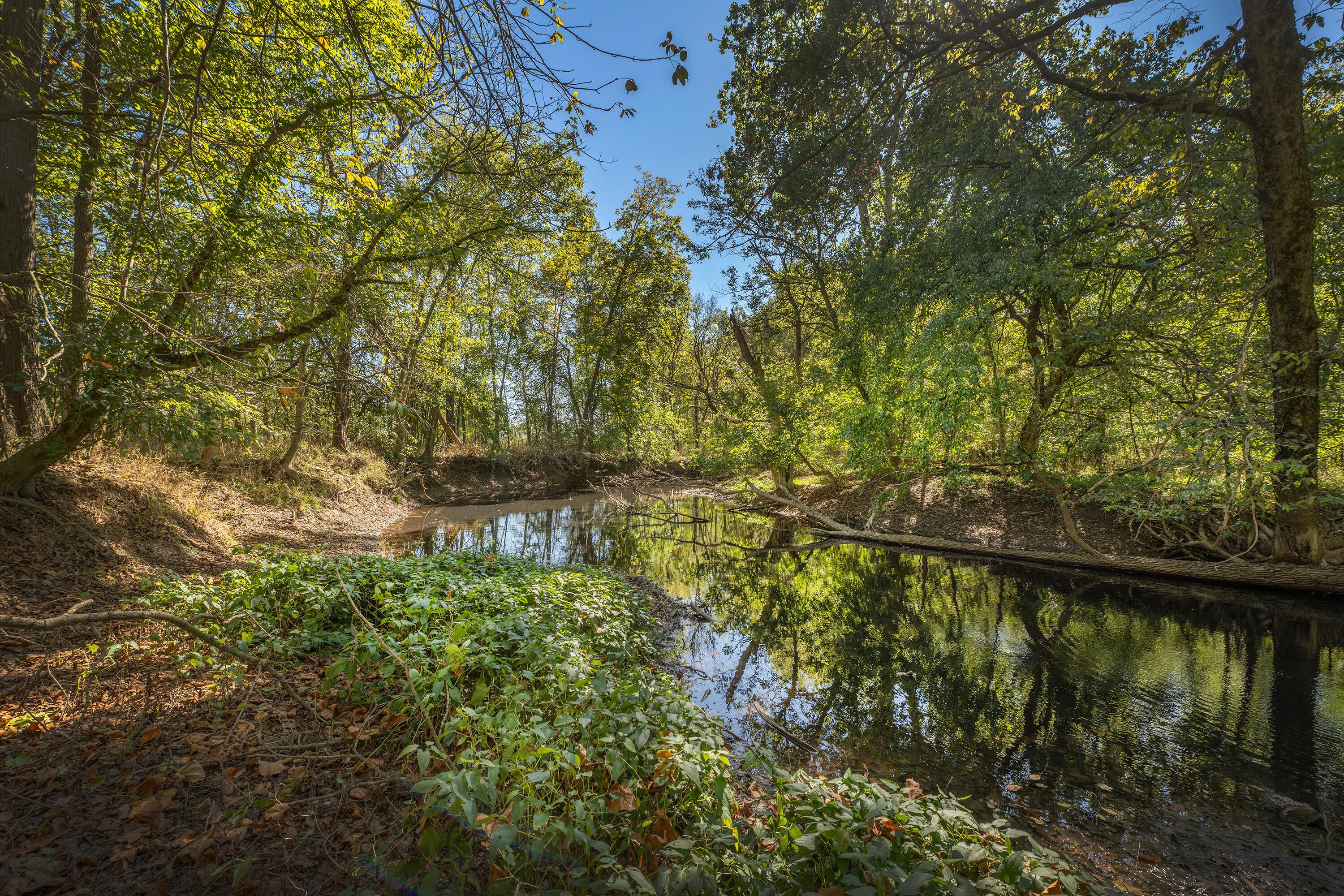 Mink Street Road, Marysville, Ohio image 11