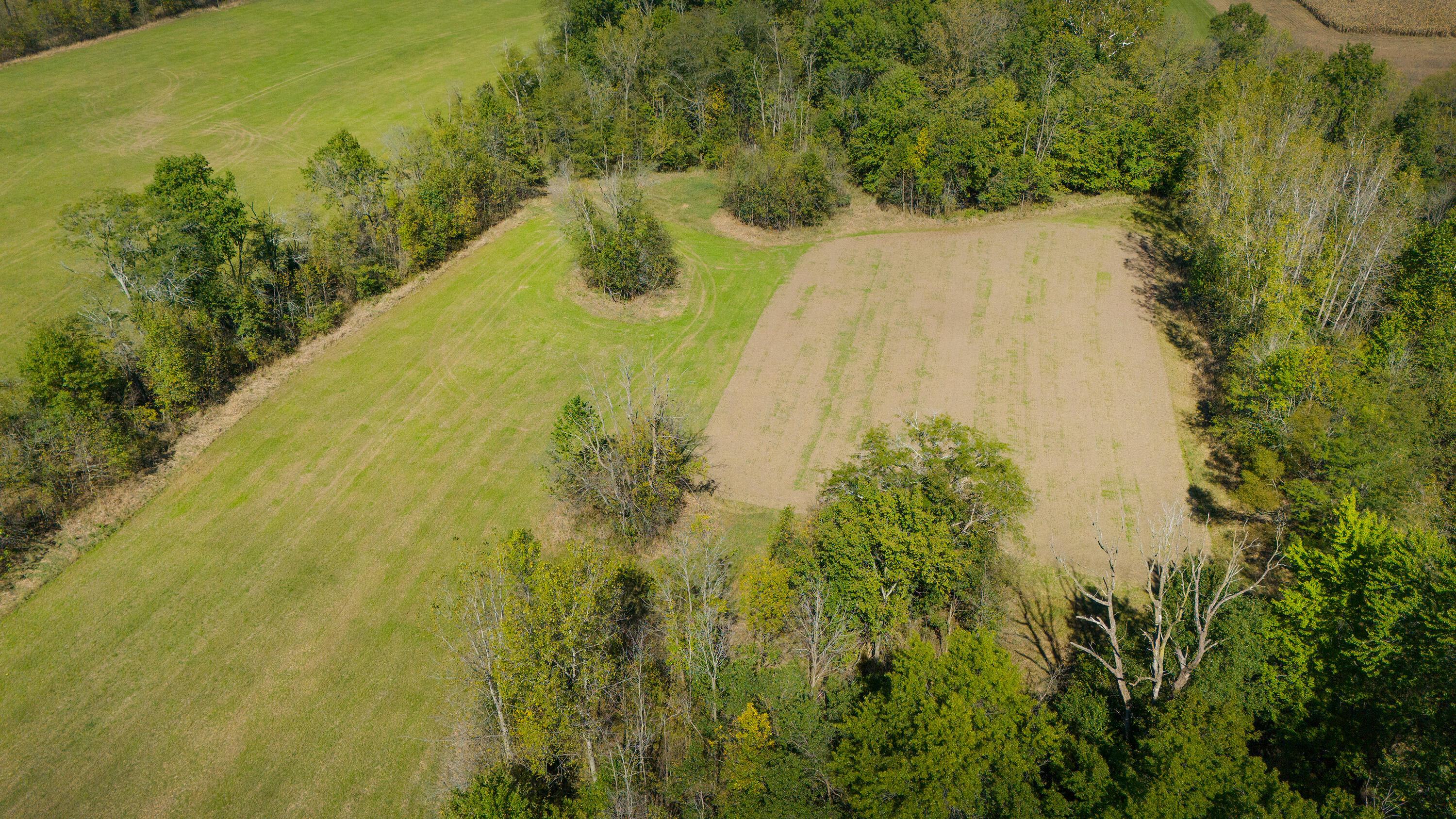 Mink Street Road, Marysville, Ohio image 10