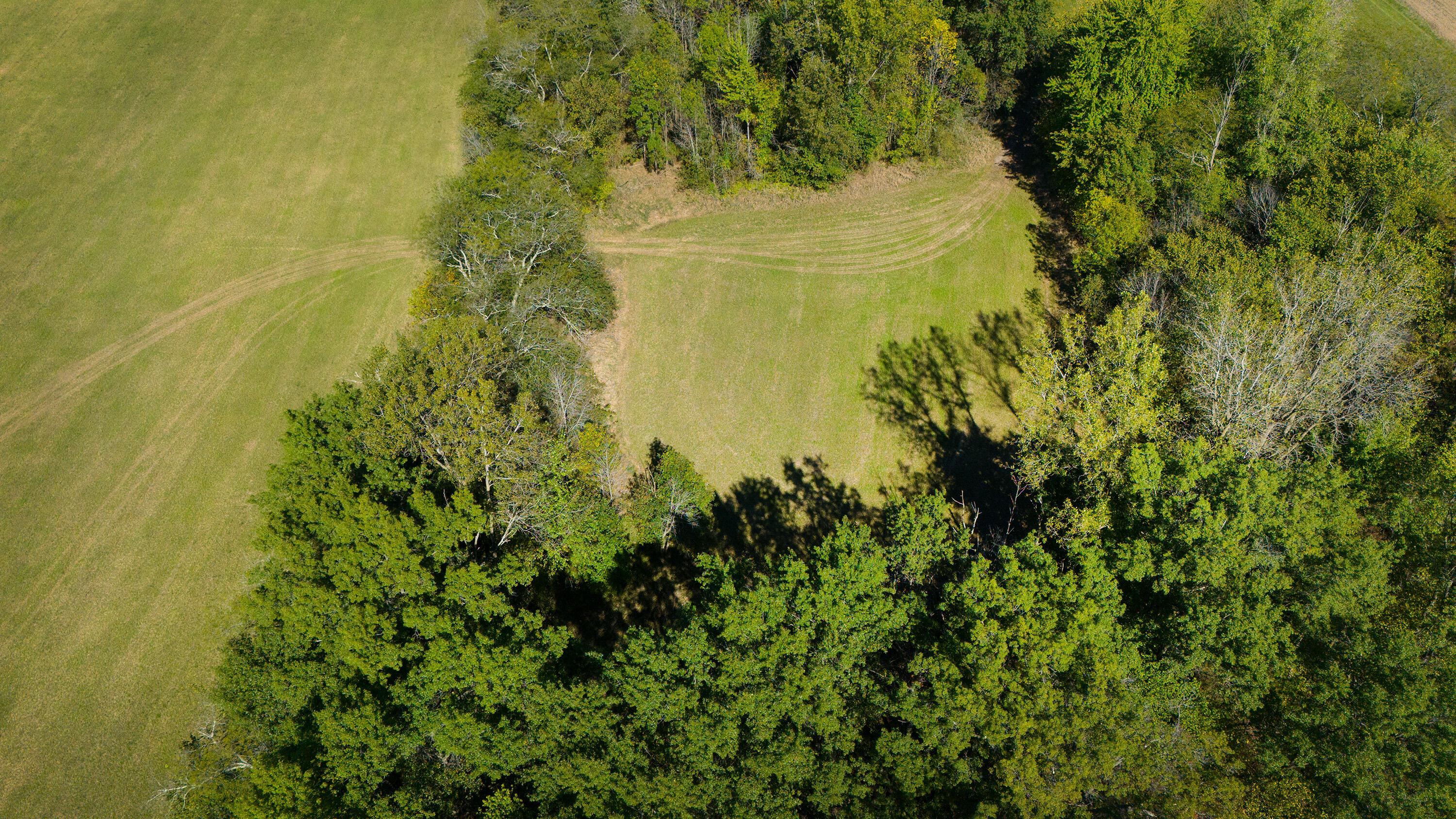 Mink Street Road, Marysville, Ohio image 14