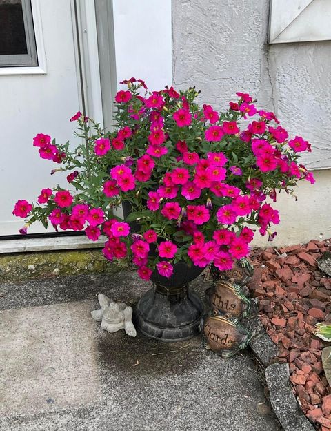 Tiny photo for 681 Mount Zion Road SW, Lancaster, OH 43130 (MLS # 225045348)