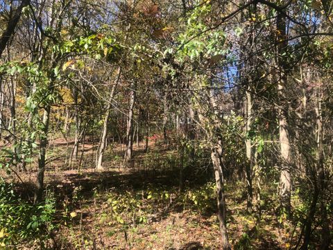Photo of 0 Valleyridge Drive Lot #346, Howard, OH 43028 (MLS # 225041278)