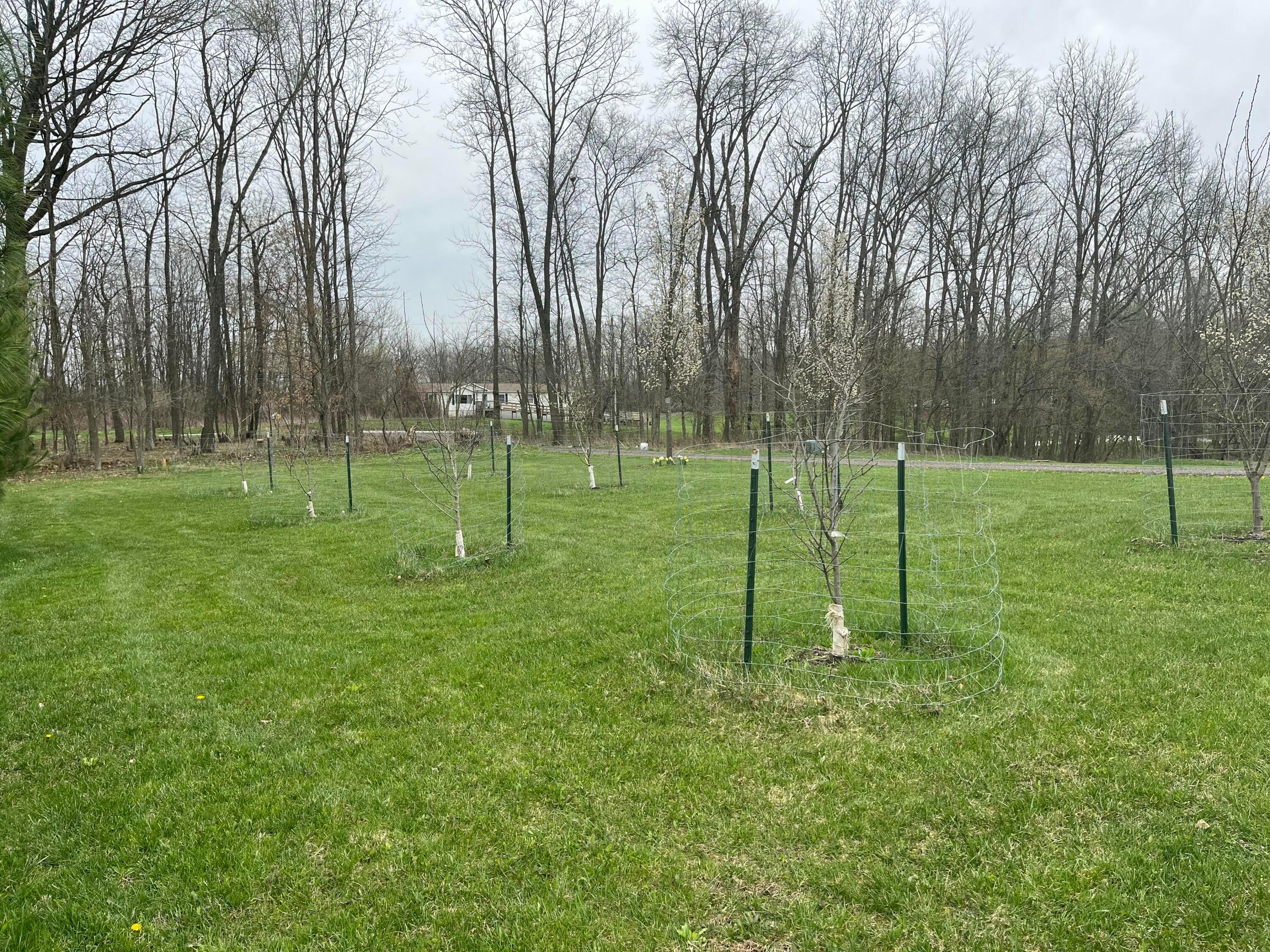 7705 Camp Road, Mount Vernon, Ohio image 21