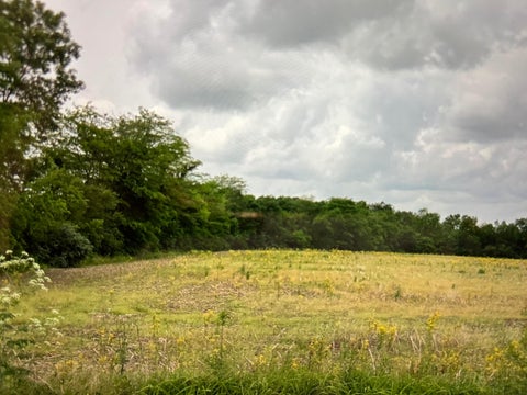 Photo for 0 Shoemaker Road Lot 5