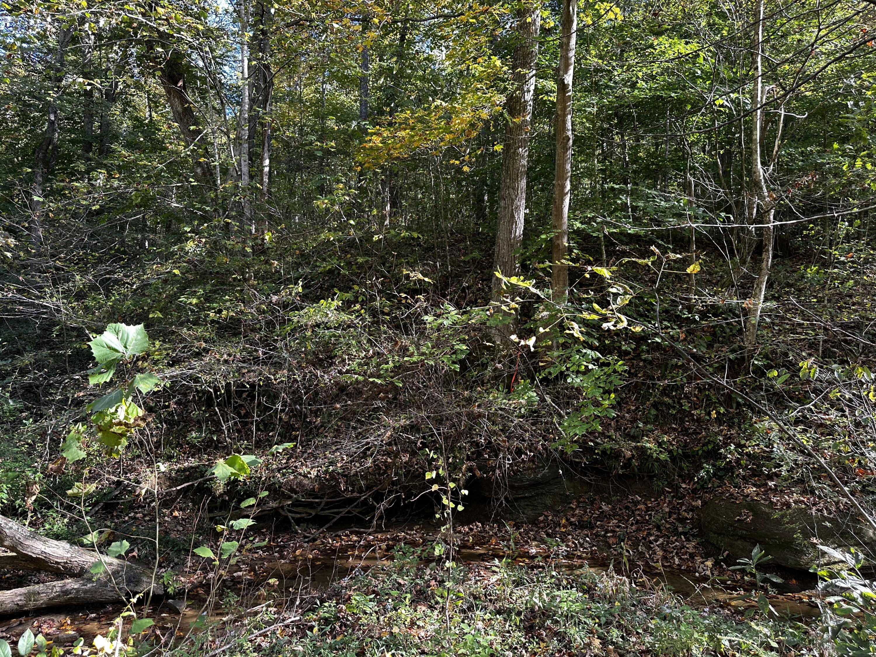 925 Hull Road #SKYLINE CABIN WOODS WAYN, Patriot, Ohio image 49