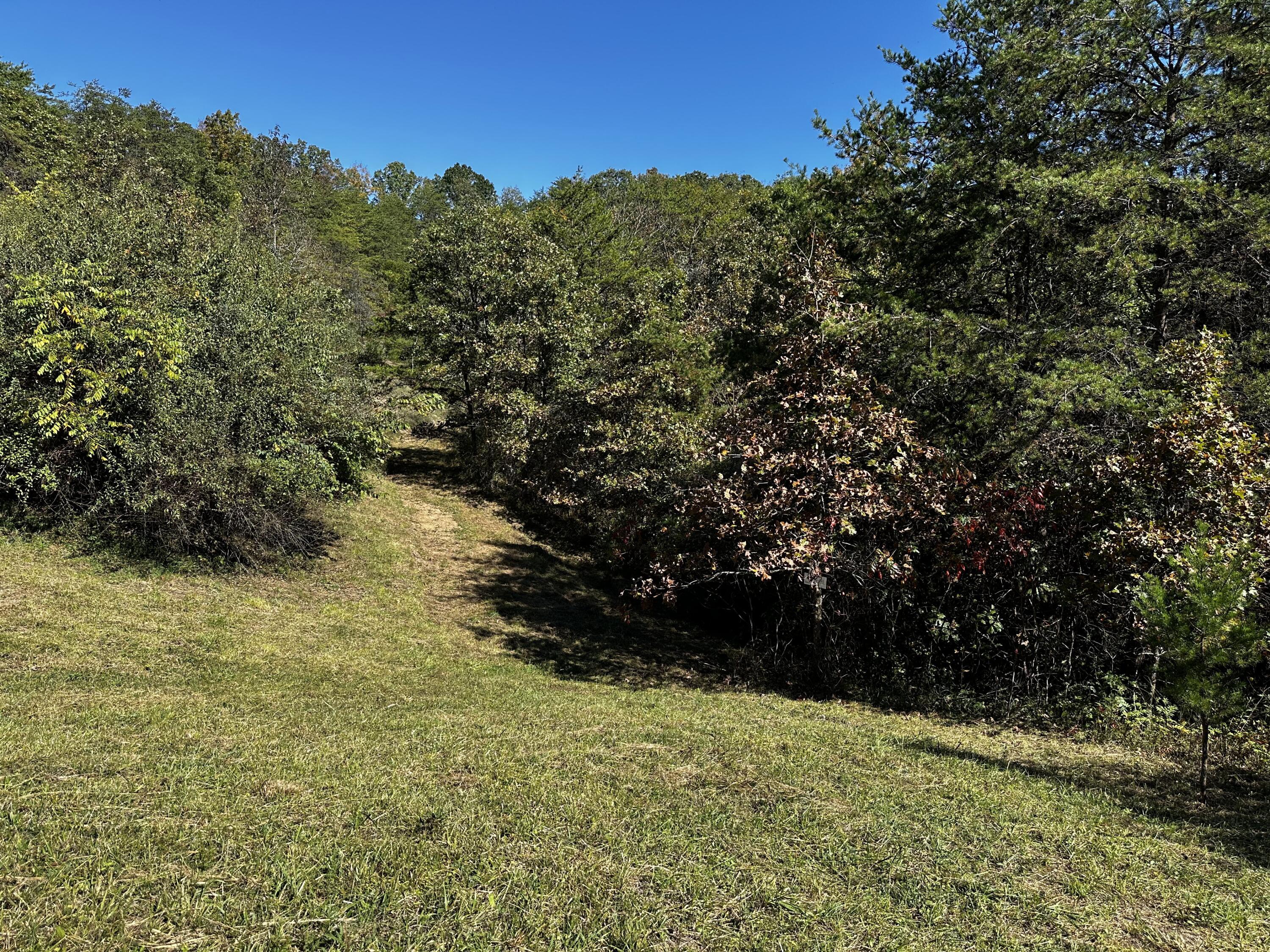925 Hull Road #SKYLINE CABIN WOODS WAYN, Patriot, Ohio image 36