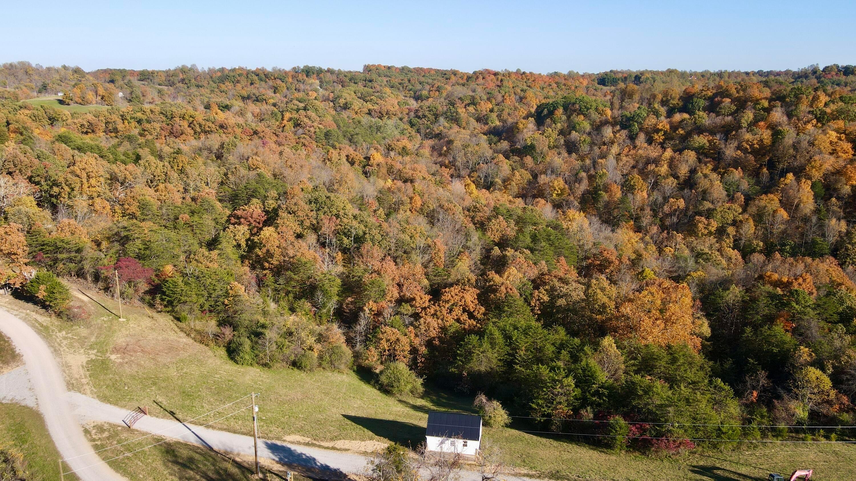 925 Hull Road #SKYLINE CABIN WOODS WAYN, Patriot, Ohio image 2