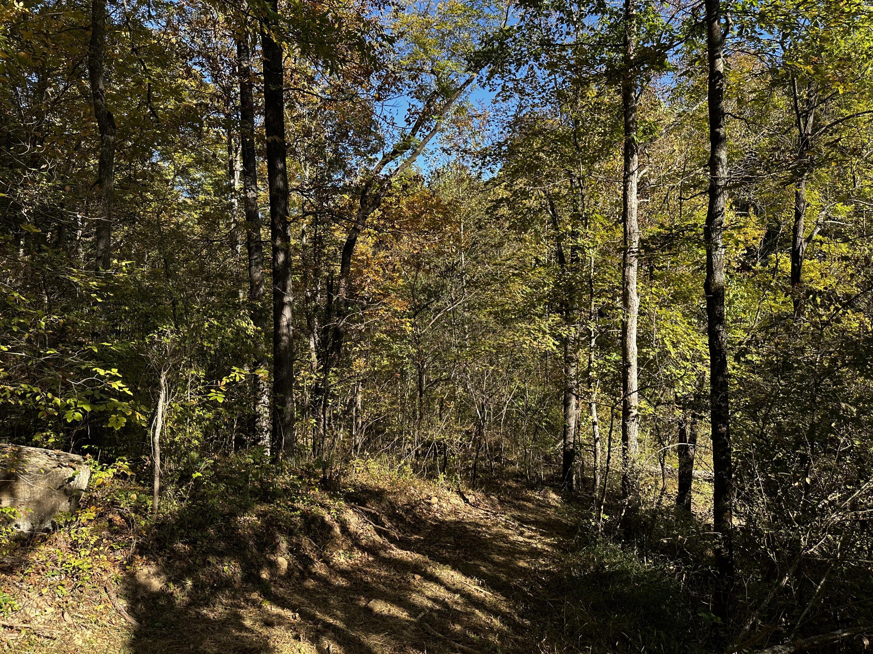 925 Hull Road #SKYLINE CABIN WOODS WAYN, Patriot, Ohio image 44