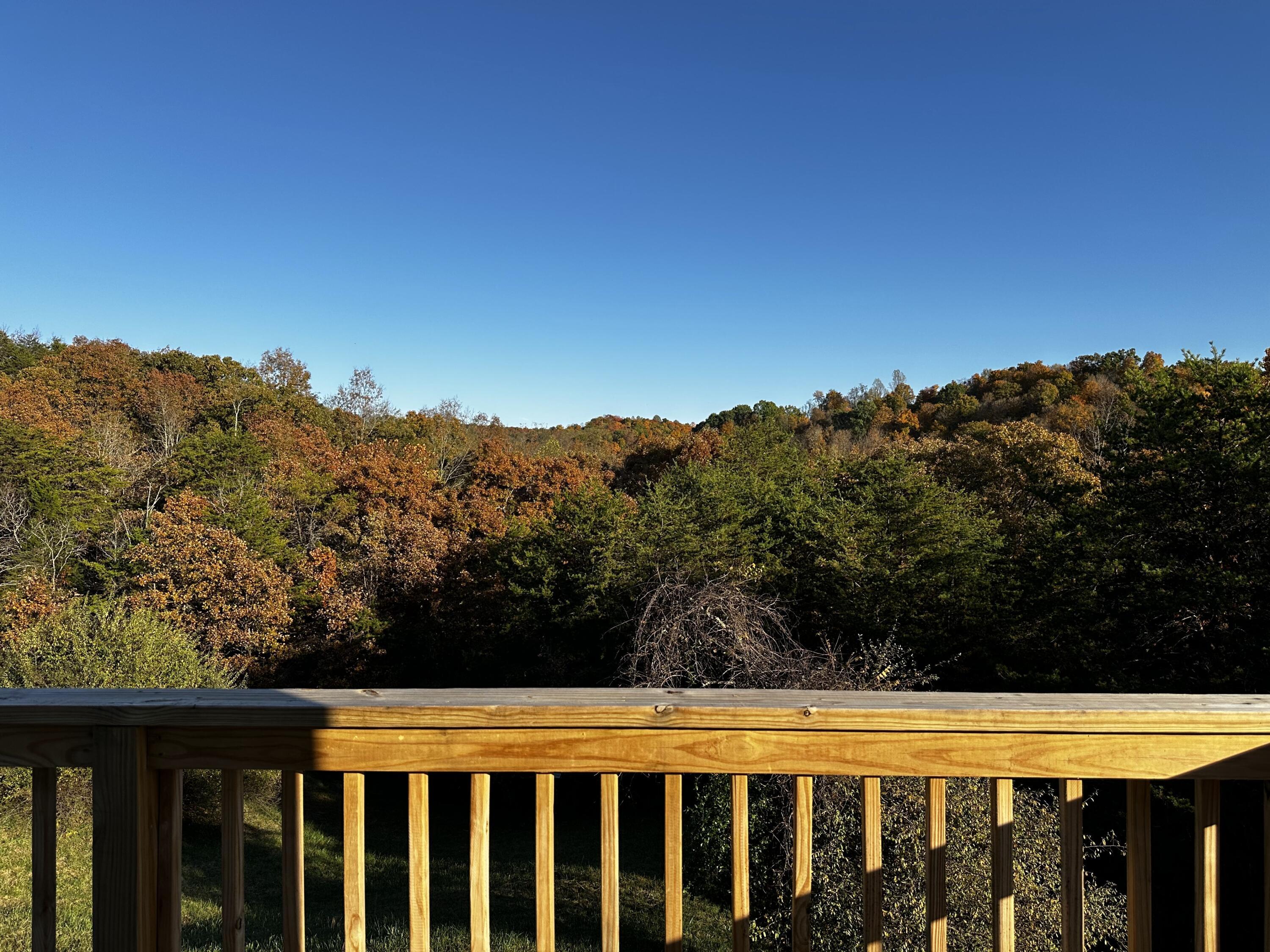 925 Hull Road #SKYLINE CABIN WOODS WAYN, Patriot, Ohio image 22