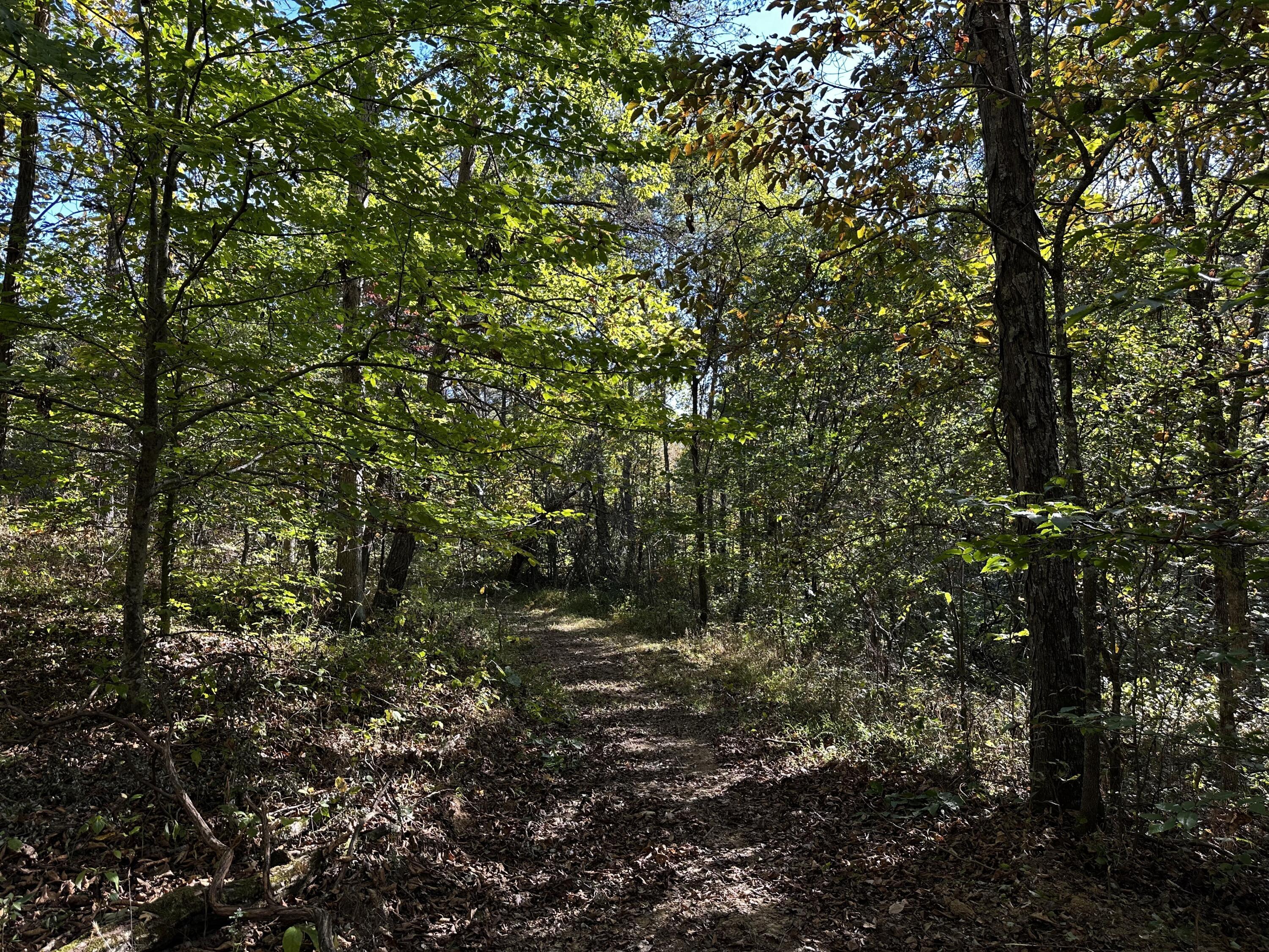925 Hull Road #SKYLINE CABIN WOODS WAYN, Patriot, Ohio image 40