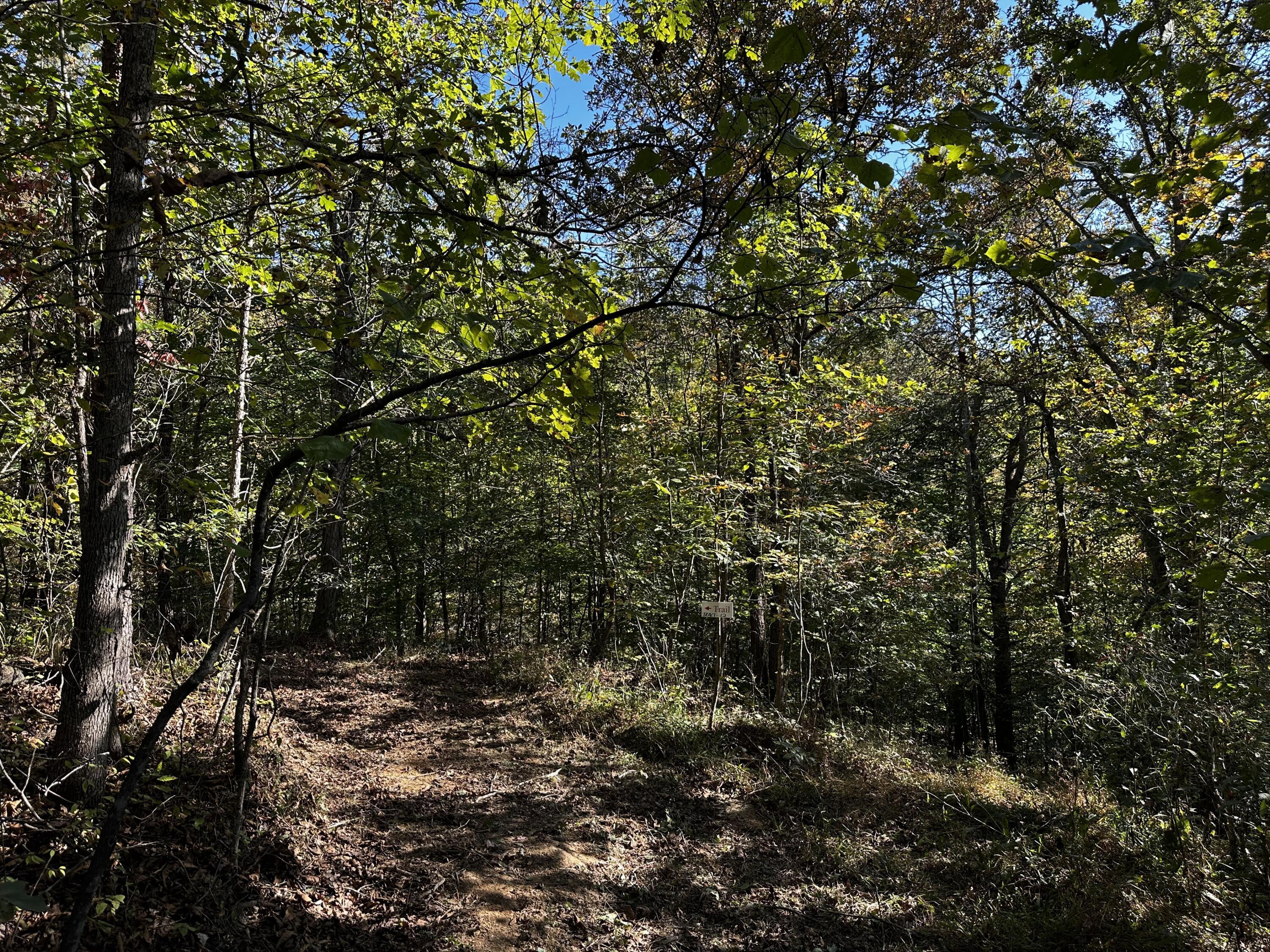 925 Hull Road #SKYLINE CABIN WOODS WAYN, Patriot, Ohio image 42