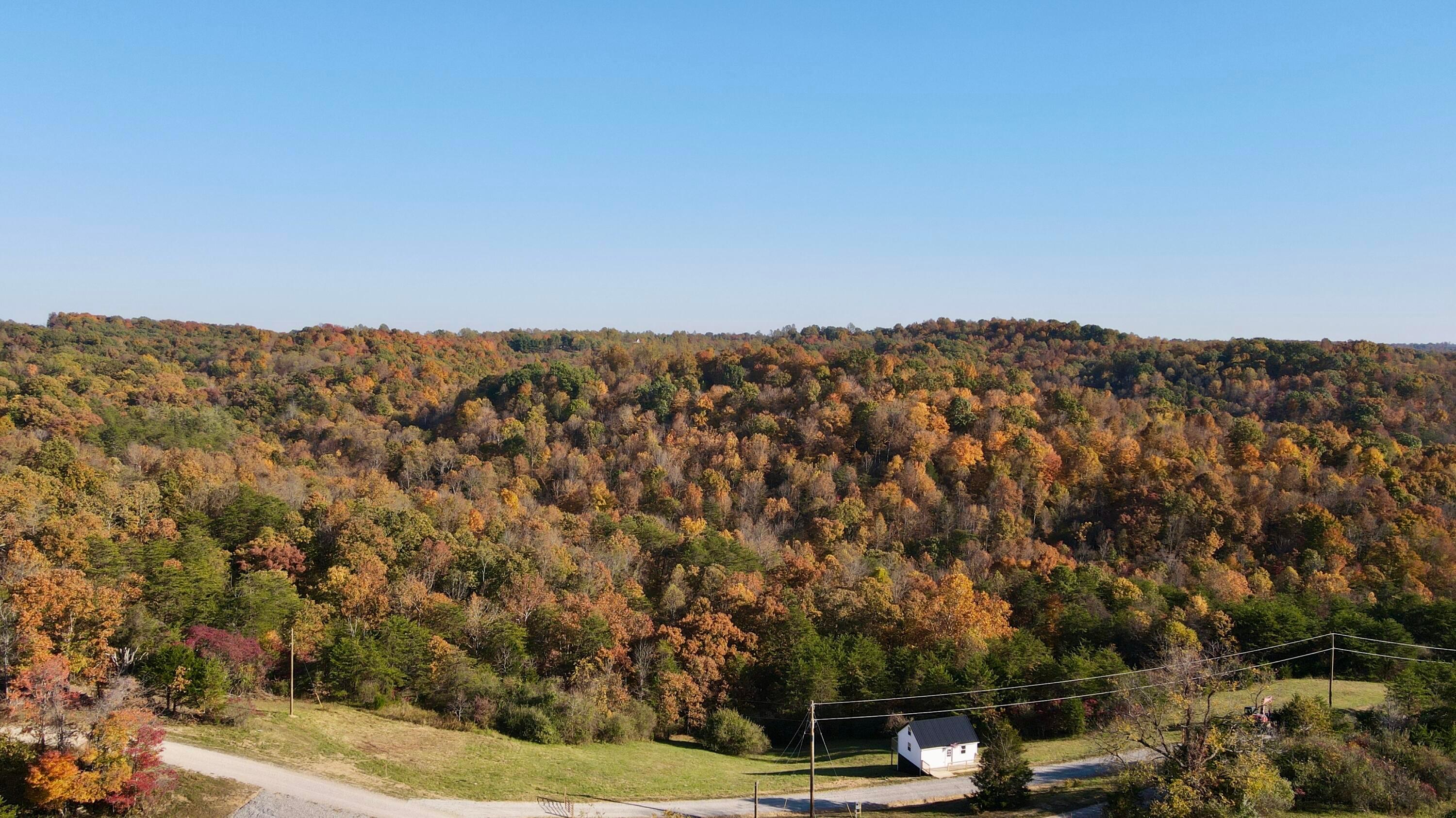 925 Hull Road #SKYLINE CABIN WOODS WAYN, Patriot, Ohio image 32