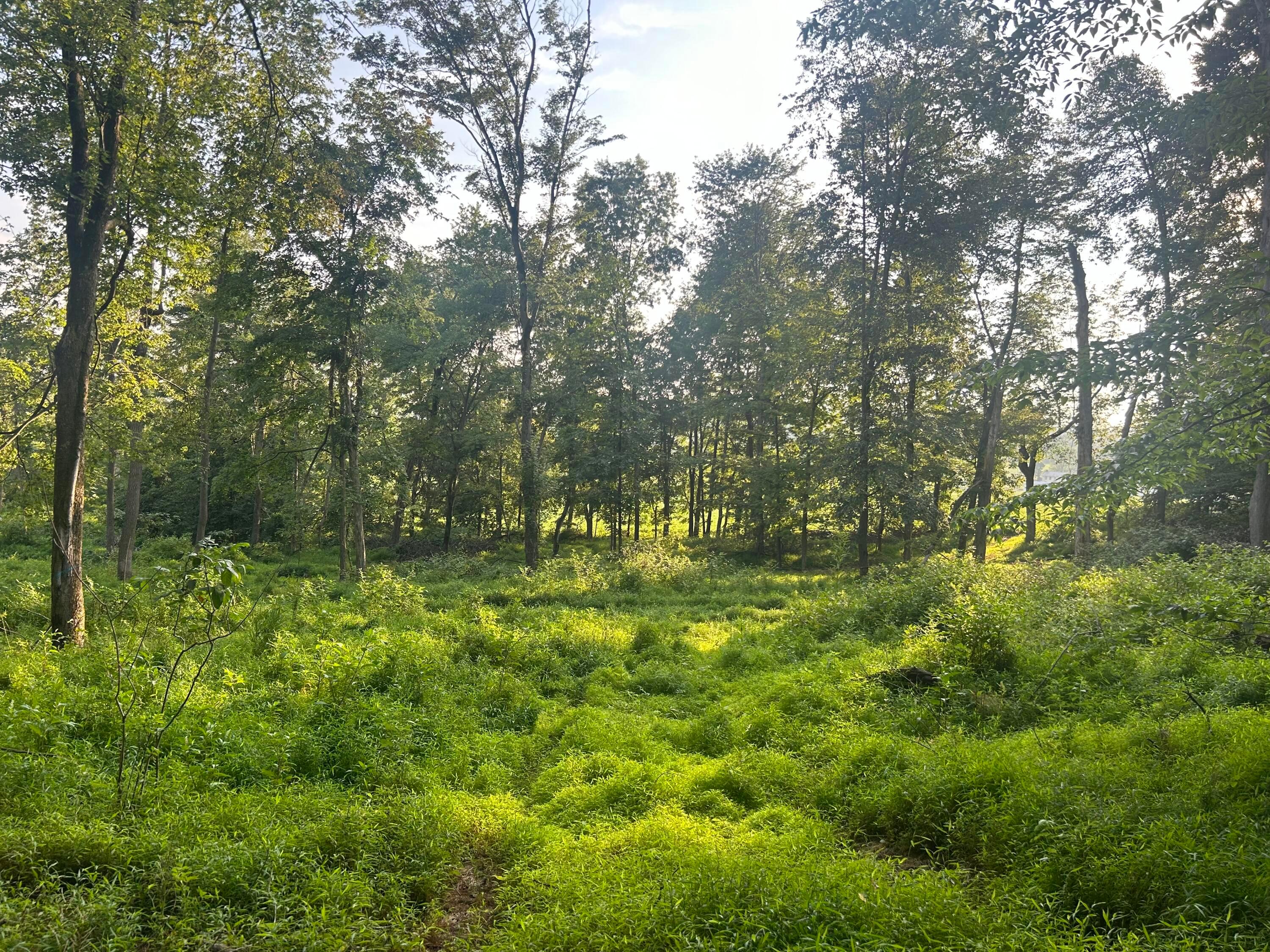 Briarcliff Road, Nashport, Ohio image 14