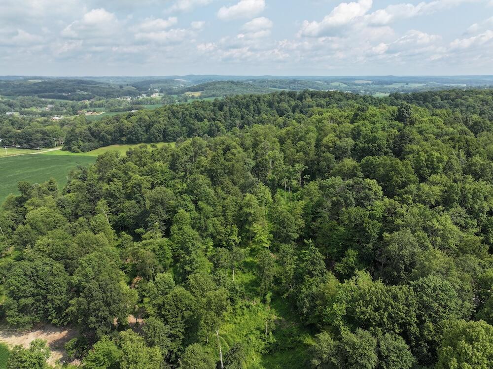Briarcliff Road, Nashport, Ohio image 3
