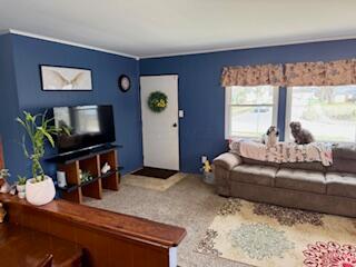 55 Richards Drive, Delaware, Ohio image 33